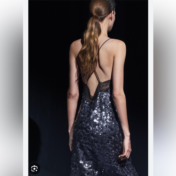 Zara | Sequin and Lace Midi Dress - Picture 6 of 9